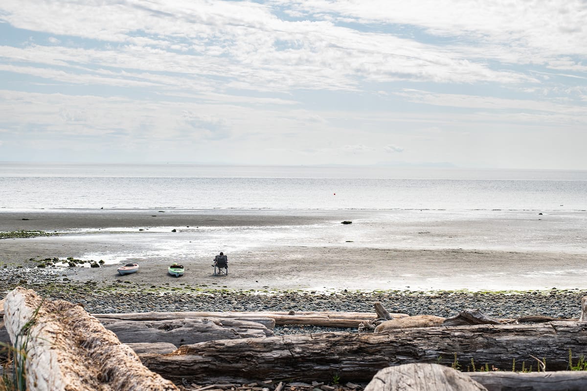 Stories Beach at low tide with driftwood and ocean